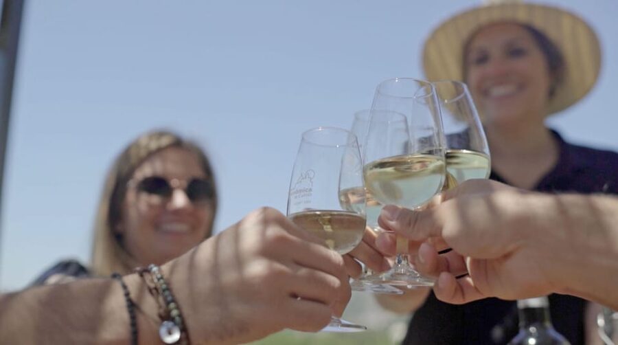 From Málaga: Ronda, Wine & Olive Oil Tasting Small Group - Ronda Above the El Tajo Gorge: why this town feels different
