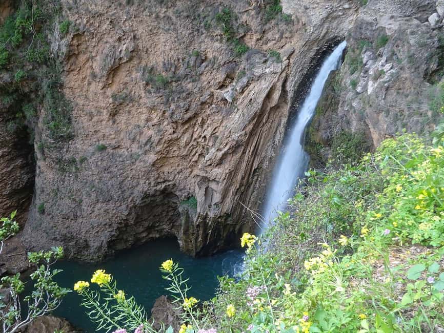 From Malaga: Ronda y Setenil de la Bodegas Day Trip by coach - Puente Nuevo and Cuenca Gardens, the best payoff for your walking effort