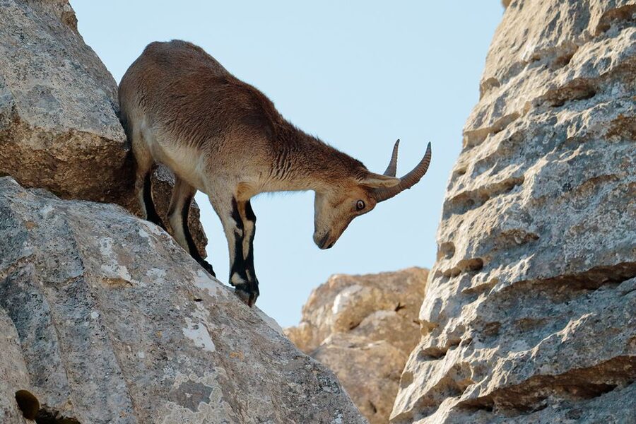 From Malaga: Torcal de Antequera Hiking Tour - Why El Torcal Feels Like a Natural Sculpture Park