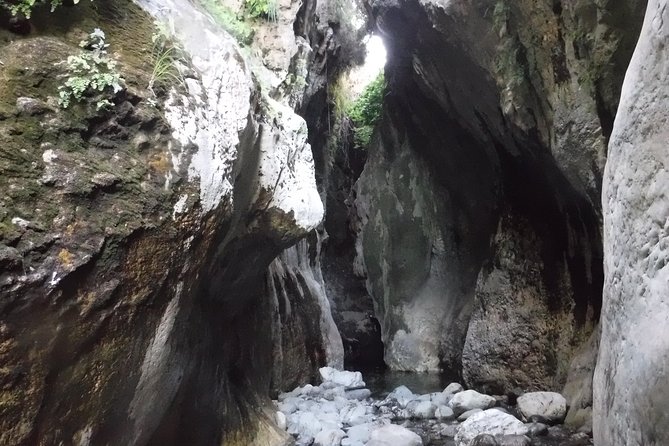 From Marbella: Canyoning Tour in Guadalmina Canyon - The photo report: a souvenir that feels worth it