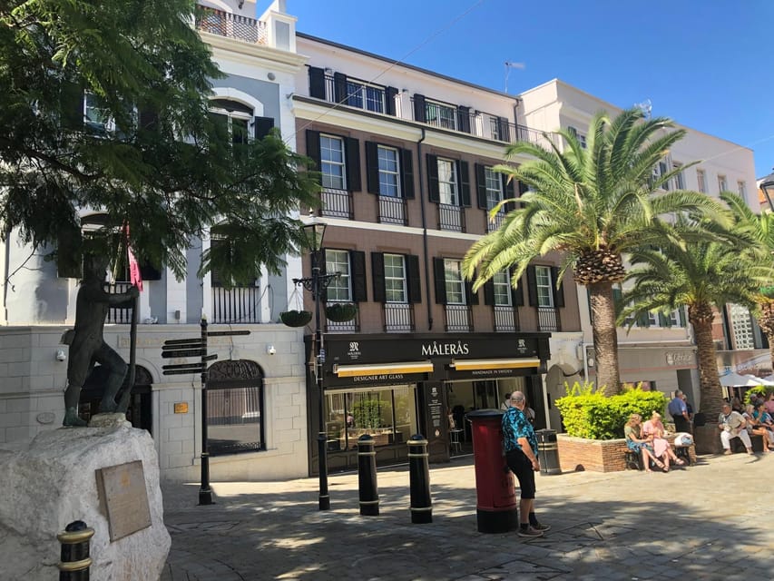 From Marbella/Estepona: VIP Gibraltar Tour Monkeys + Nature Reserve + Shopping - Up on the Rock: apes, viewpoints, and a cafe with big sightlines