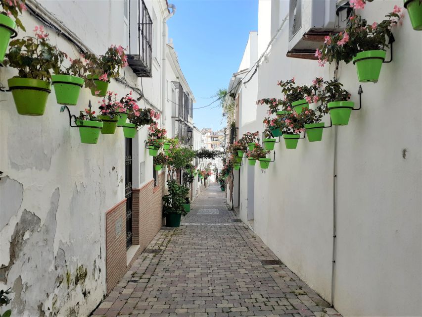 From Marbella: Guided Private Trip to Gibraltar and Estepona - Price and value: is $700 per person worth it?