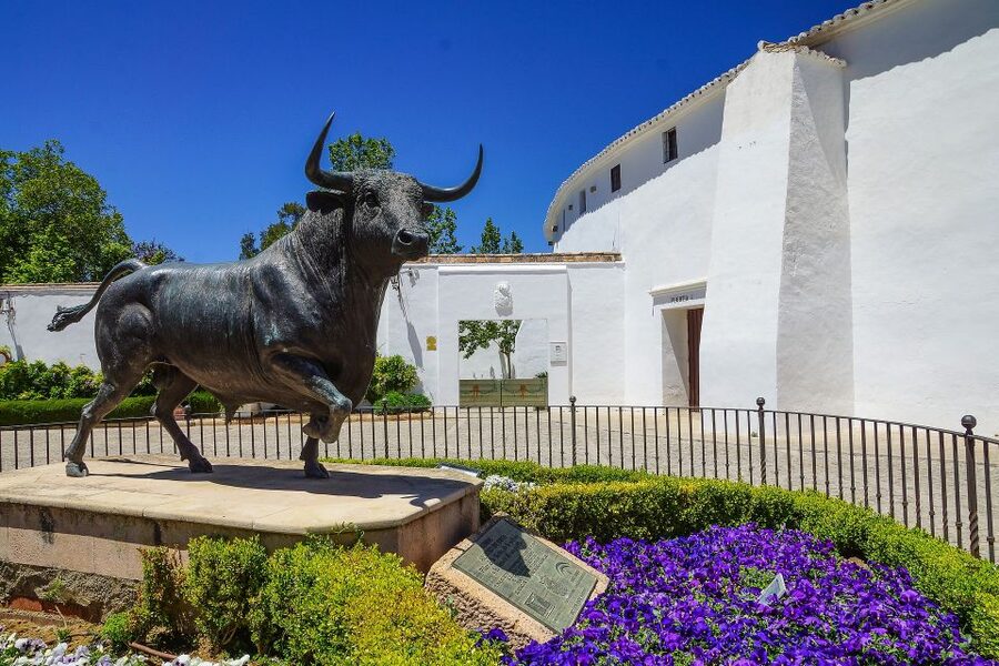 From Seville: Ronda and Setenil de Las Bodegas Private Tour - The ride to Ronda and why a private driver helps