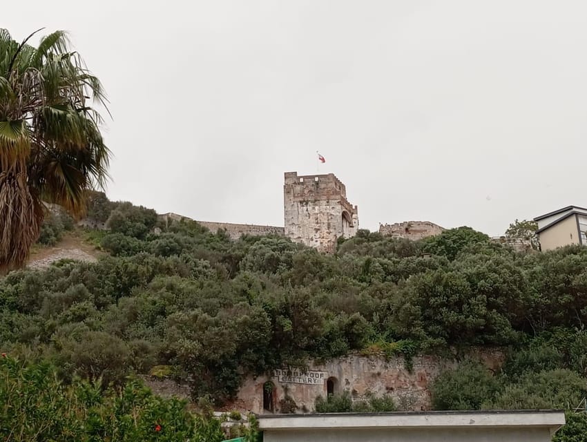 From Torremolinos: Day Trip to Gibraltar - The Rock of Gibraltar Options: Cable Car vs Tourist Taxi