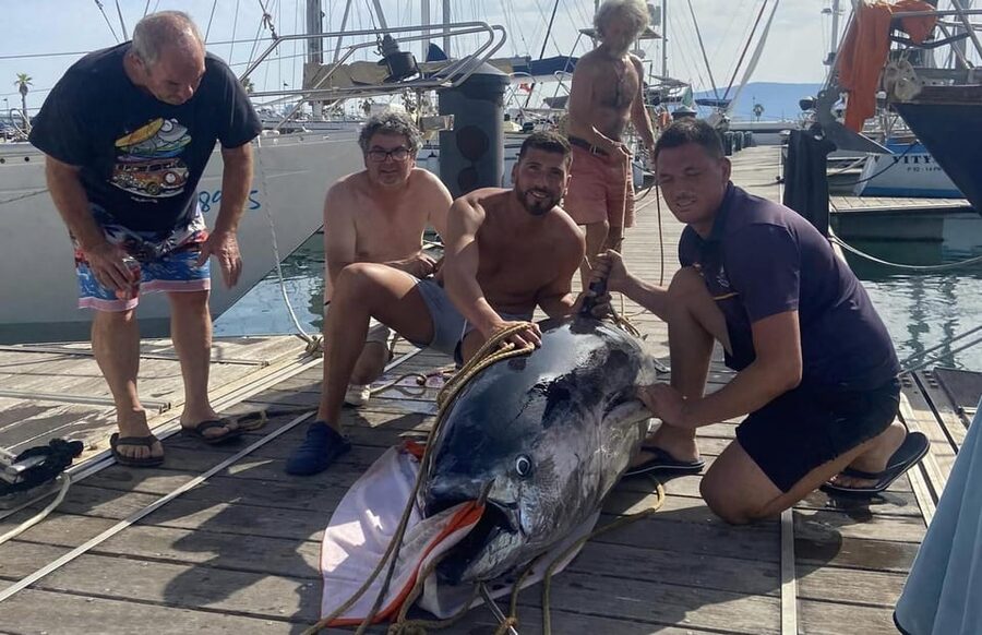 Fuengirola: 4h Trolling Fishing Trip with Snacks and Drinks - Meeting at Puerto Deportivo Fuengirola, get sorted fast