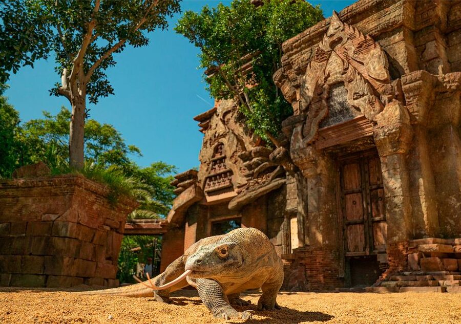 Fuengirola: Bioparc Entrance Ticket - Southeast Asia: Look for the Range, Not Just the Headliners