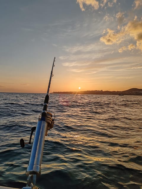 Fuengirola: Bottom Fishing with Jigging and Squid, 2, 4 and 6 hours - Catching, keeping fish, and the souvenir question