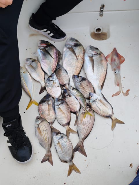 Fuengirola: Bottom Fishing with Jigging and Squid, 2, 4 and 6 hours - Price and value, is $105 per person worth it