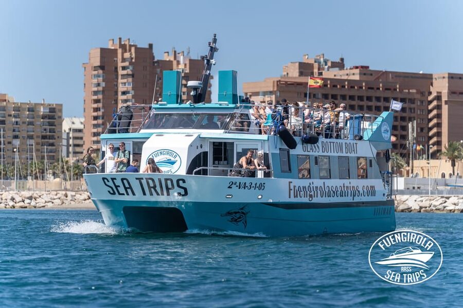 Fuengirola: Catamaran Tour to Spot Dolphins - Why Fuengirola can be a great spot for wild dolphin watching