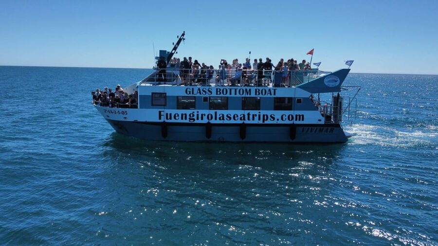 Fuengirola: Catamaran Tour to Spot Dolphins - The 2-hour flow: from dock to dolphin search to relaxed return