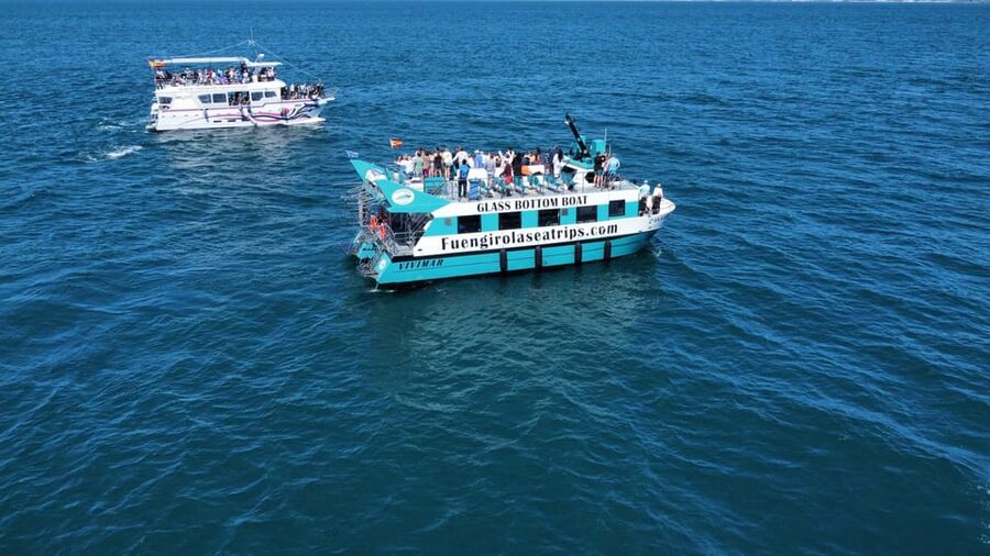 Fuengirola: Catamaran Tour to Spot Dolphins - How the dolphin encounter works once the skipper finds them