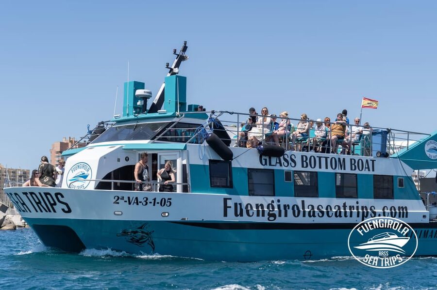 Fuengirola: Catamaran Tour to Spot Dolphins - Getting your best view: decks, seating, and the “glass bottom” reality
