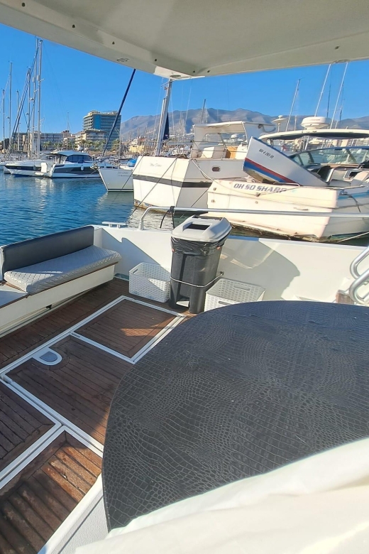 Fuengirola: Dolphin Spotting Tour - Why this dolphin tour feels different in Fuengirola