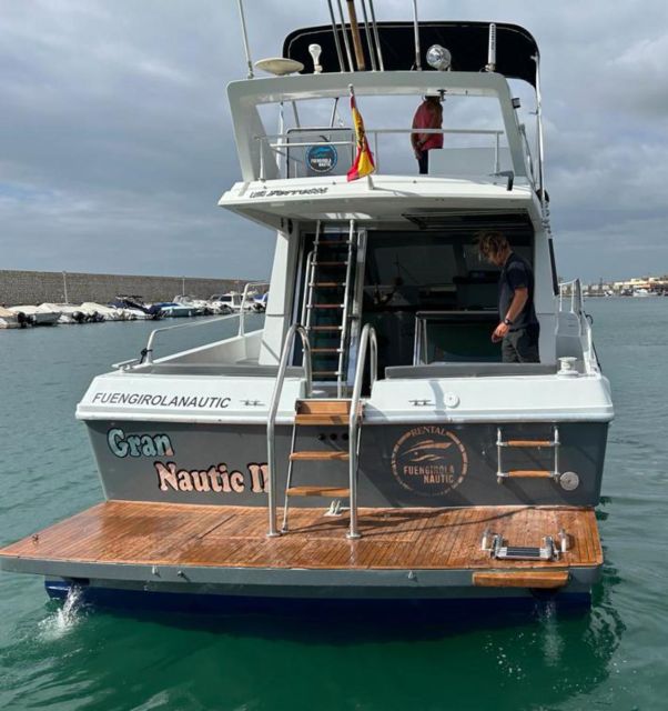 Fuengirola: Dolphin Spotting Tour - The captain-led search for dolphins, and how to think about your odds