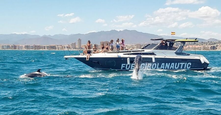 Fuengirola: Dolphin Watching by Yacht with Snacks and Drinks - Who should book this cruise (and who might want a different option)