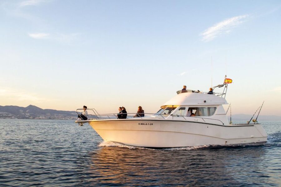 Fuengirola: Dolphin Watching Excursion with Refreshments - Time on the Water: Dolphins, Marine Life, and Optional Swimming