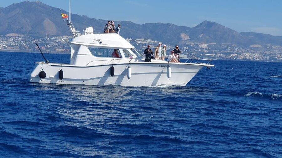 Fuengirola: Dolphin Watching Excursion with Refreshments - Price and Value: Is 40 USD a Fair Deal for 2 Hours?