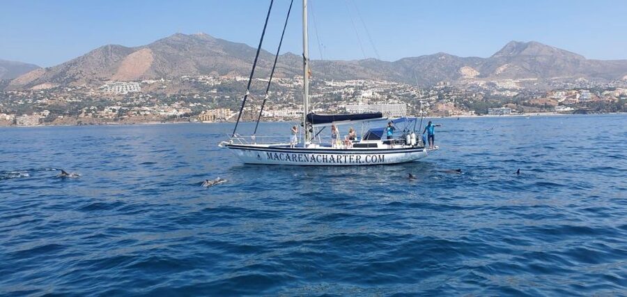 Fuengirola: Dolphin-Watching Sailing Tour with Drinks - Price and Value: Why $47 Can Make Sense Here