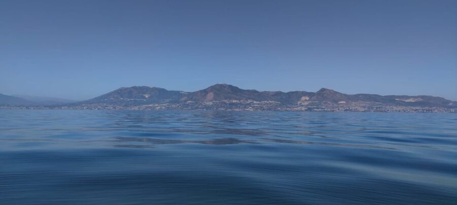 Fuengirola: Fantastic Dolphin Watching Yacht Tour with Drink - The Staff, Languages, and the Onboard Experience