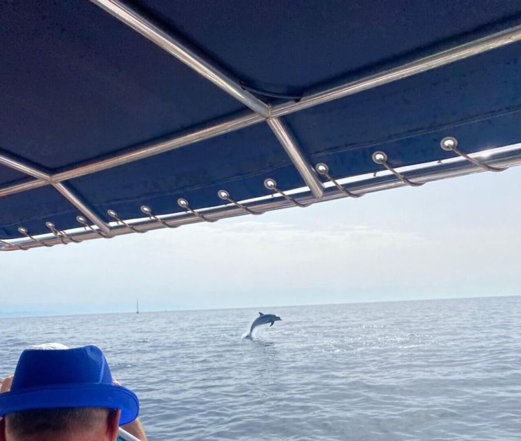 Fuengirola: Fantastic Dolphin Watching Yacht Tour with Drink - What to Bring for a Comfortable Dolphin Search