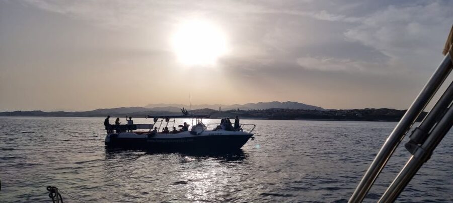 Fuengirola: Fantastic Dolphin Watching Yacht Tour with Drink - The Boat Setup, Comfort, and Viewing (So You Actually See Things)
