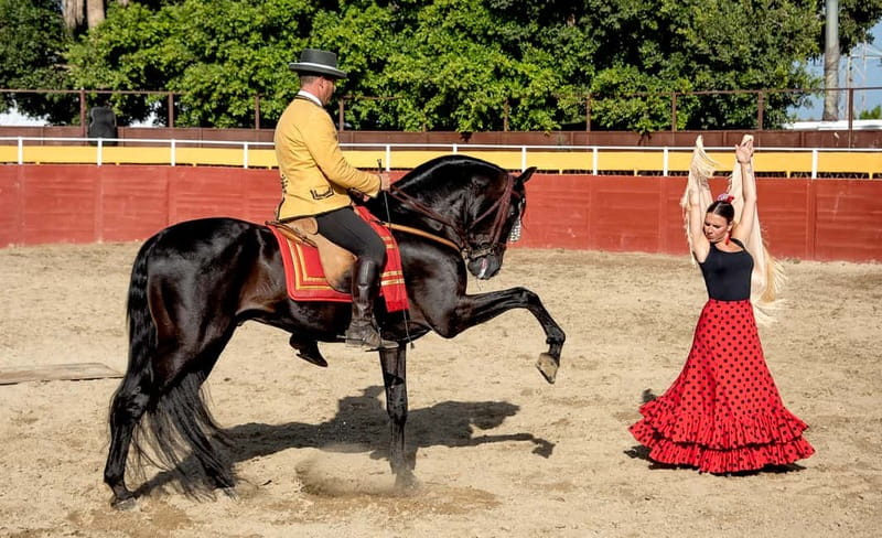 Fuengirola: Spanish Horse Show with Optional Dinner/Flamenco - Why the Cartujano Horse Show Turns Into a Spanish Night Worth Planning