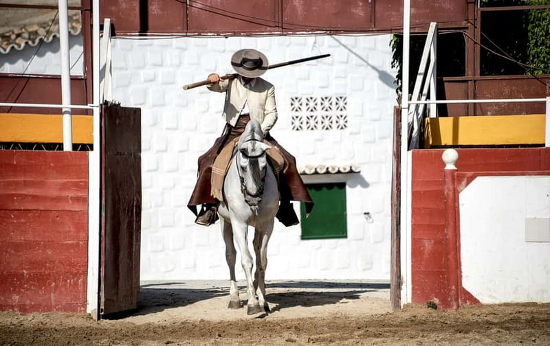 Fuengirola: Spanish Horse Show with Optional Dinner/Flamenco - 19:45 Paella Dinner in the Trophy Room, and What the Meal Is Like