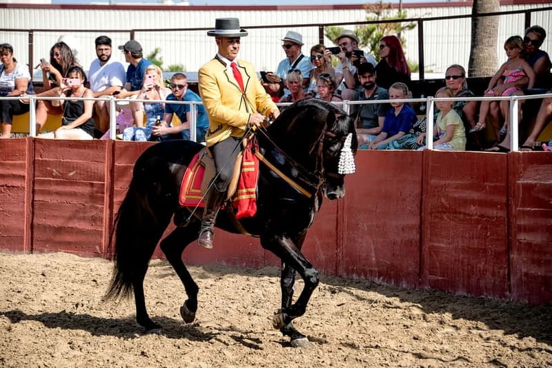 Fuengirola: Spanish Horse Show with Optional Dinner/Flamenco - 21:30 Flamenco After Dark, and How to Get Better Seats