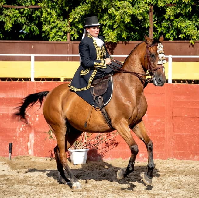 Fuengirola: Spanish Horse Show with Optional Dinner/Flamenco - Family Time at the Finca: Mini Golf and Calm Stable Visits