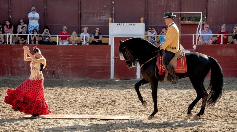Fuengirola: Spanish Horse Show with Optional Dinner/Flamenco - From 18:00 Equestrian Numbers to Horse and Rider Photos