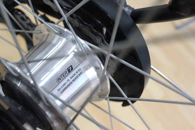 Full Day Bike Rental in Malaga - The value question: does $16.82 really make sense?