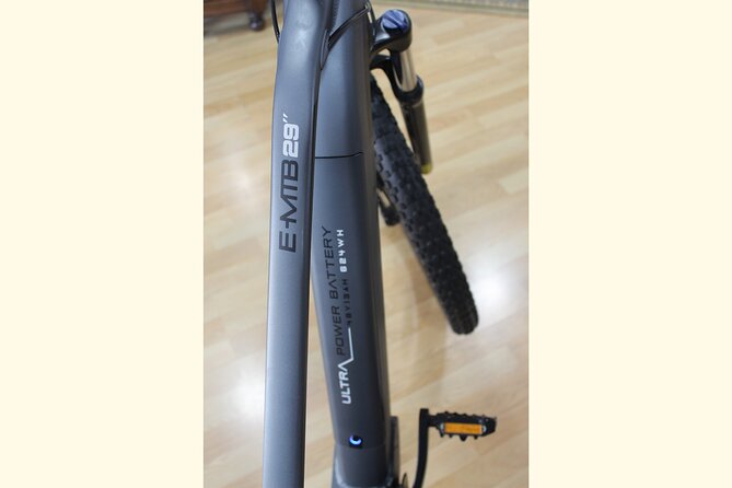 Full Day Rental of Electric Mountain E-Bike - Why Malaga and E-Bikes Go Together So Well