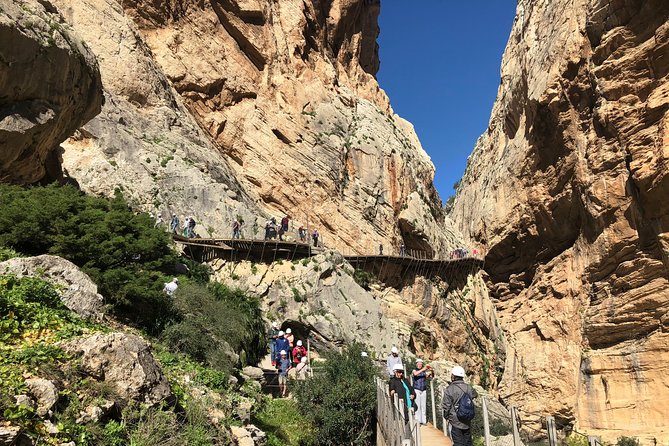 Full Day Walking Tour to Caminito del Rey - What you get for about $54.67: value beyond the ticket