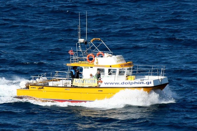 Gibraltar Dolphin Adventure - The one-stop plan: what happens during your 1 hour 15 minutes