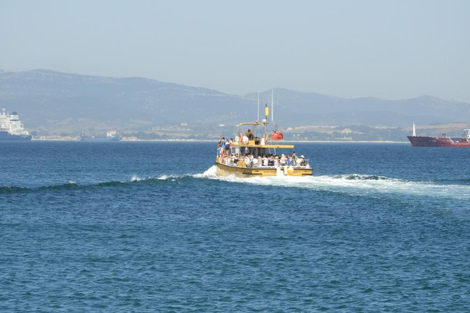Gibraltar Dolphin Adventure - Price and value: is $35.65 per person fair?