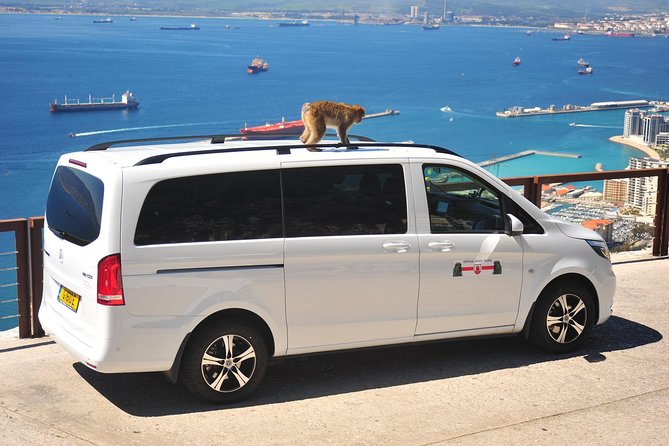 Gibraltar Inside Out Standard Tour 1.45hrs - What the guide does for you (and why it changes the whole day)