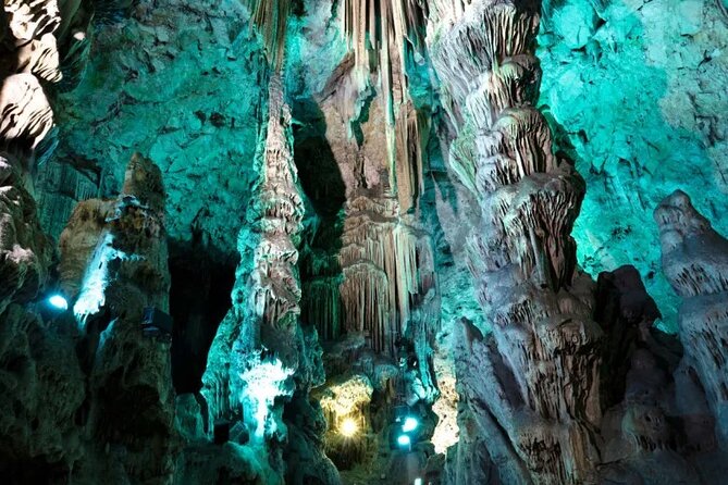 Gibraltar, Mijas and Marbella Private Tour From Malaga Province - Price and Value: What You’re Paying For and What You Should Expect