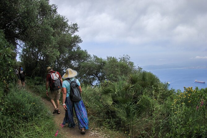 Gibraltar Nature Reserve Admission Pass to All Attractions - The Route Through History: From Jews’ Gate to the Pillars of Hercules