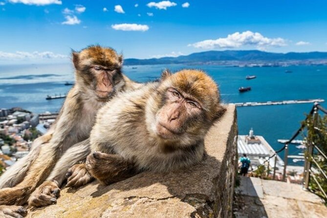 Gibraltar Pass- The Official City Pass for all attractions! - World War II Tunnels and OHara’s Battery