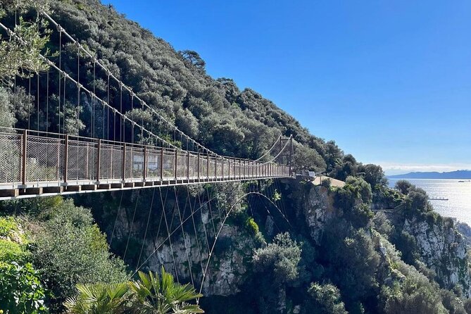 Gibraltar Private Daytrip From Malaga - A Private Gibraltar Day Trip That Actually Uses Your Time