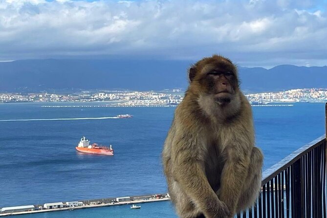 Gibraltar Private Daytrip From Malaga - Pickup in Malaga, Border Crossing, and the Car Change Plan