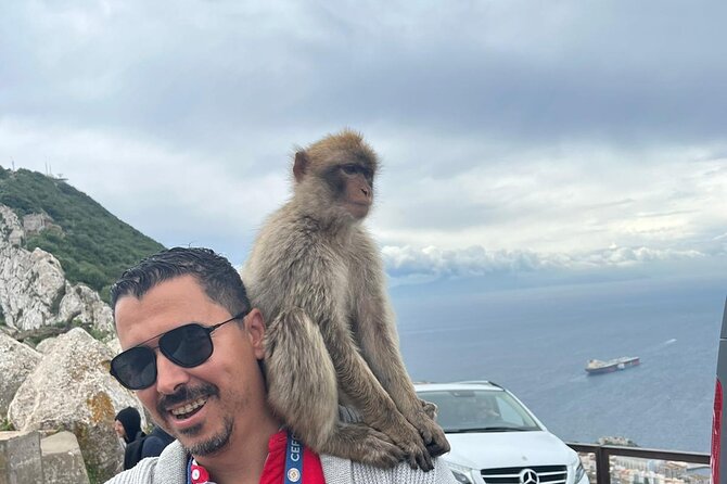 Gibraltar Private Tour from Malaga and Surrounding Areas - Price and Value: What $724.09 Per Person Buys You