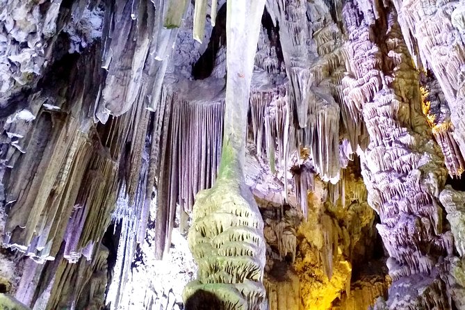 Gibraltar private tour from Marbella or Malaga - Gibraltar Private Tour From Marbella: What You Really Get in 4 Hours