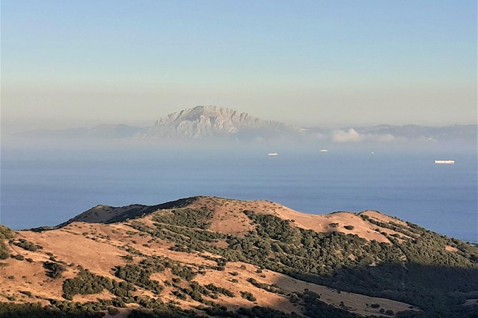 Gibraltar private tour from Marbella or Malaga - Upper Rock Nature Reserve: The Smart Start on a Busy Rock