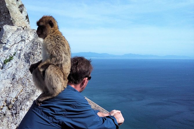 Gibraltar private tour from Marbella or Malaga - St Michael’s Cave: Limestone Theatre and the Most Scenic 30 Minutes
