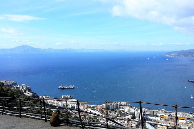 Gibraltar private trip from Marbella or Malaga - St. Michael’s Cave: Limestone Formations and the Light Show Effect