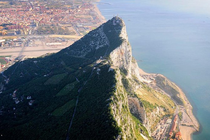 Gibraltar Rock Guided Tour - Up to the Rock: viewpoints, migrating birds, and protected nature