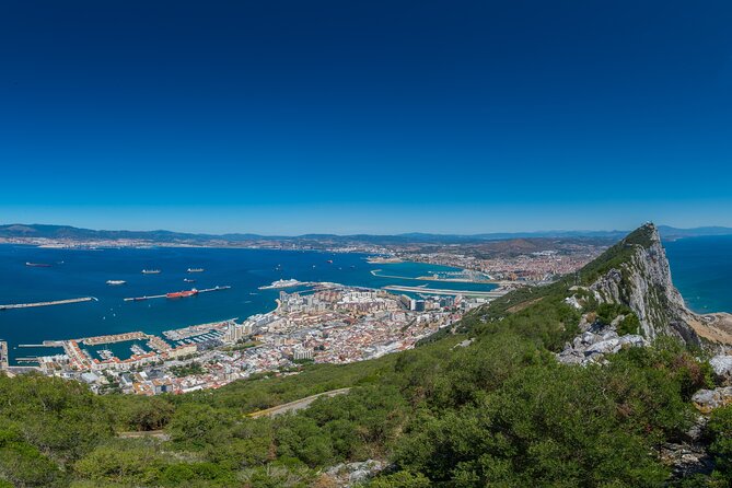 Gibraltar Rock Guided Tour - Apes’ Den: wild Gibraltar macaques, close enough for good photos