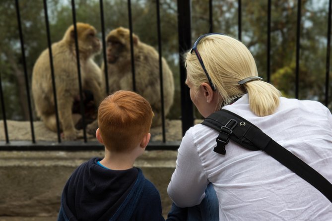 Gibraltar Rock Guided Tour - Should you book the Gibraltar Rock Guided Tour?
