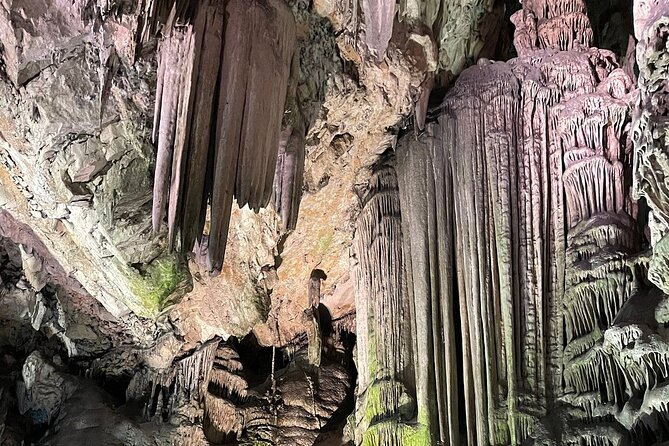 Gibraltar Sightseeing : Classic Rock Tour plus World War 2 Tunnels (Private) - Barbary Macaque Feeding Station and the monkey magic